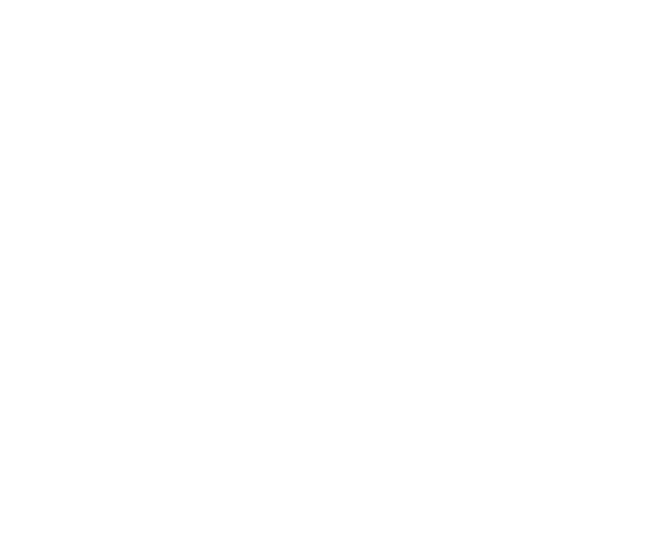 Logo Nissan Frente 5cm